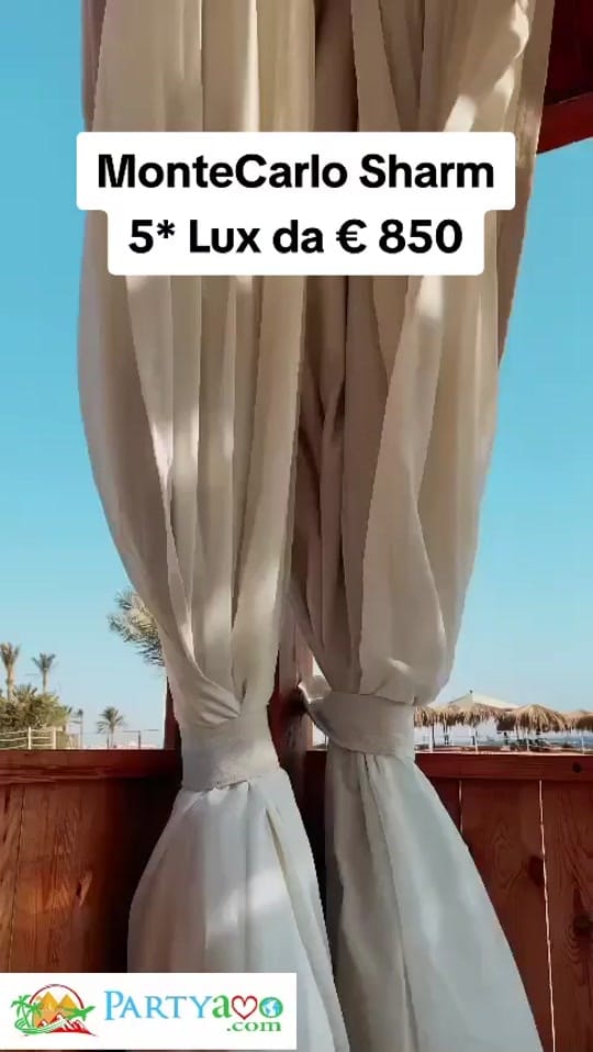 Post 5 by Partyamo.com on TikTok (video)