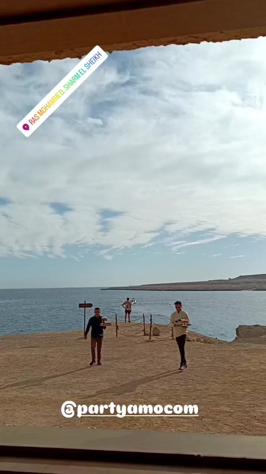 Post 1 by Partyamo.com on TikTok (video)