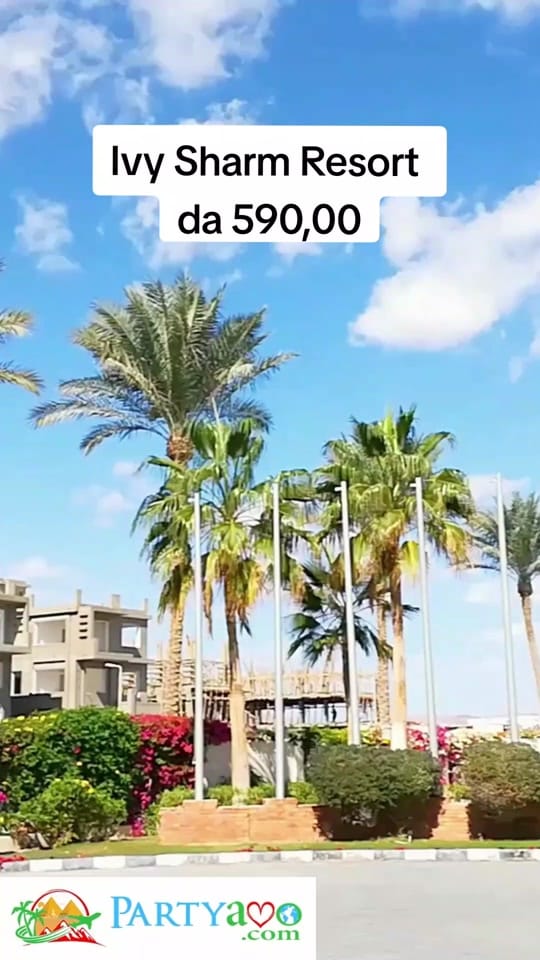 Post 6 by Partyamo.com on TikTok (video)