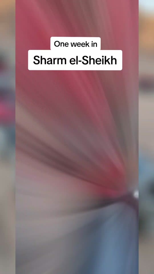 Post 10 by Partyamo.com on TikTok (video)
