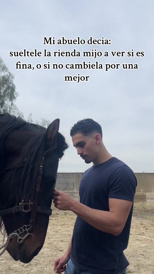 Post 9 by Ⓜ️arcos on TikTok (video)