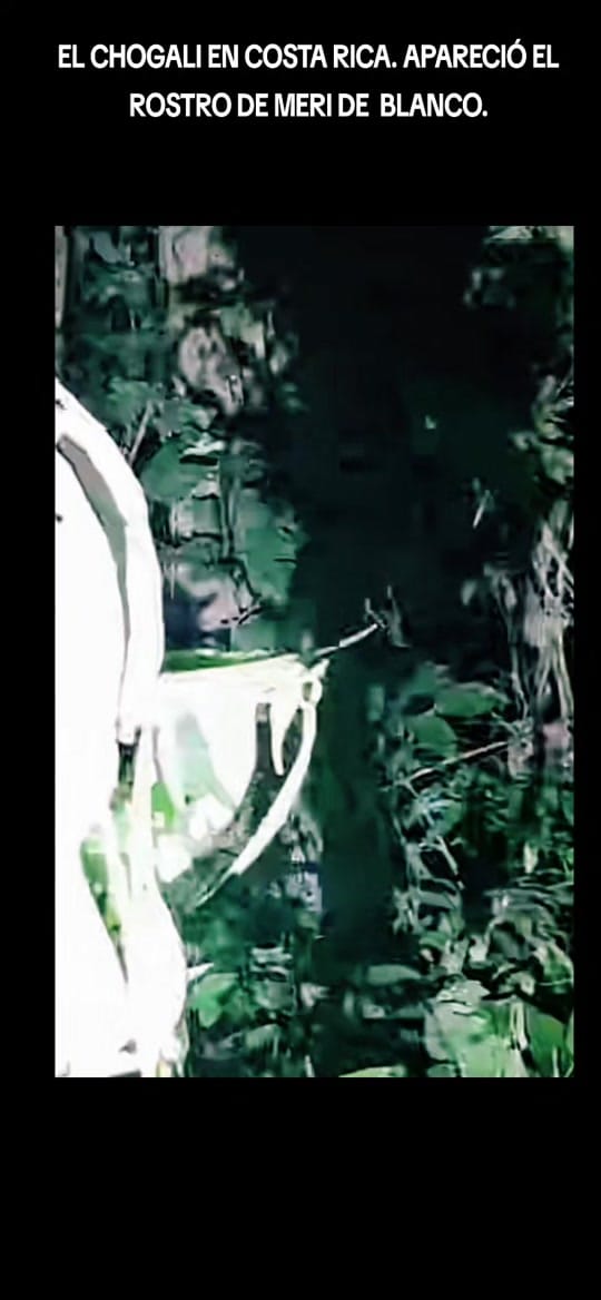 Post 3 by 🇨🇷MOMENTOS LEE 🇨🇷 on TikTok (video)