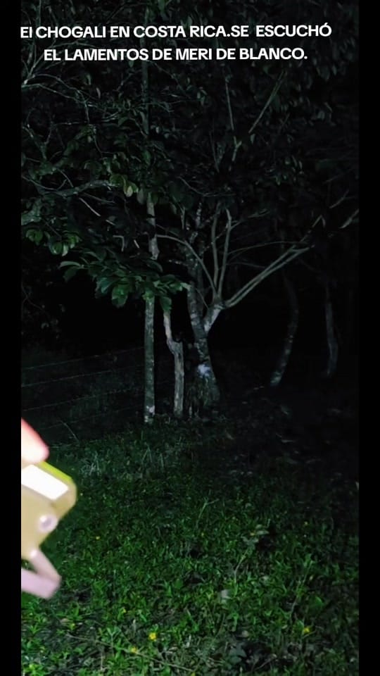 Post 4 by 🇨🇷MOMENTOS LEE 🇨🇷 on TikTok (video)