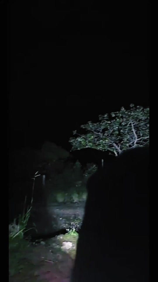 Post 5 by 🇨🇷MOMENTOS LEE 🇨🇷 on TikTok (video)