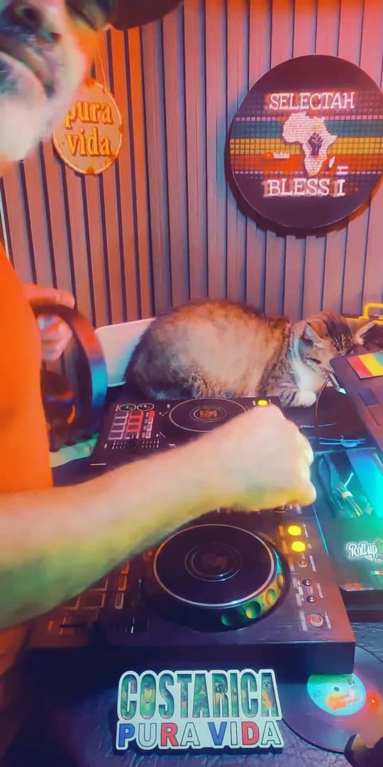 Post 1 by 🇨🇷 Selectah Bless I❤️ 💛 💚 on TikTok (video)