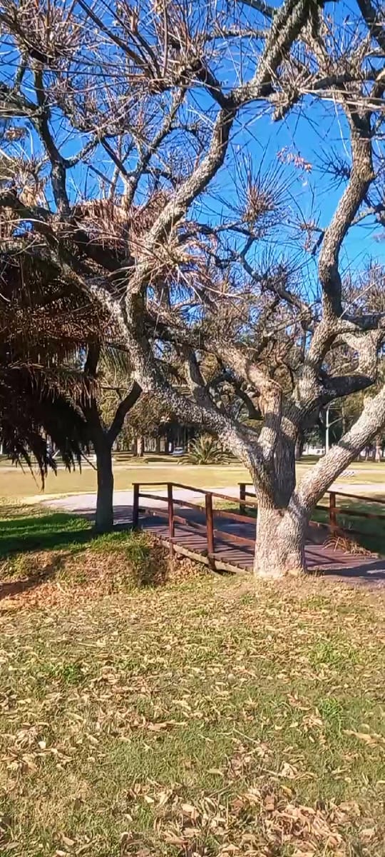 Post 1 by Betty Acosta Gonzale on TikTok (video)