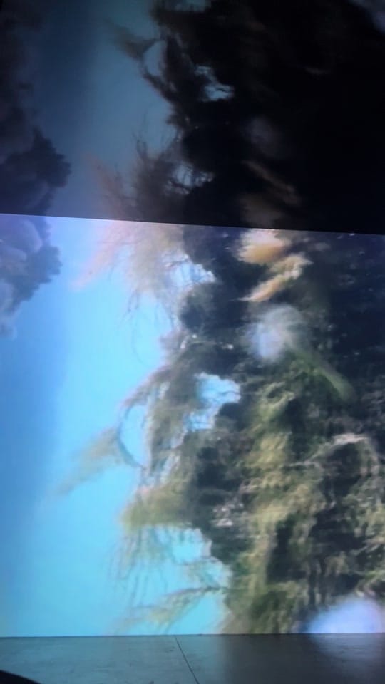 Post 3 by sofipaezmusic on TikTok (video)