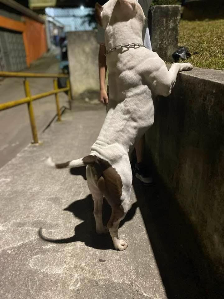 Post 9 by Jai Obando on TikTok (video)