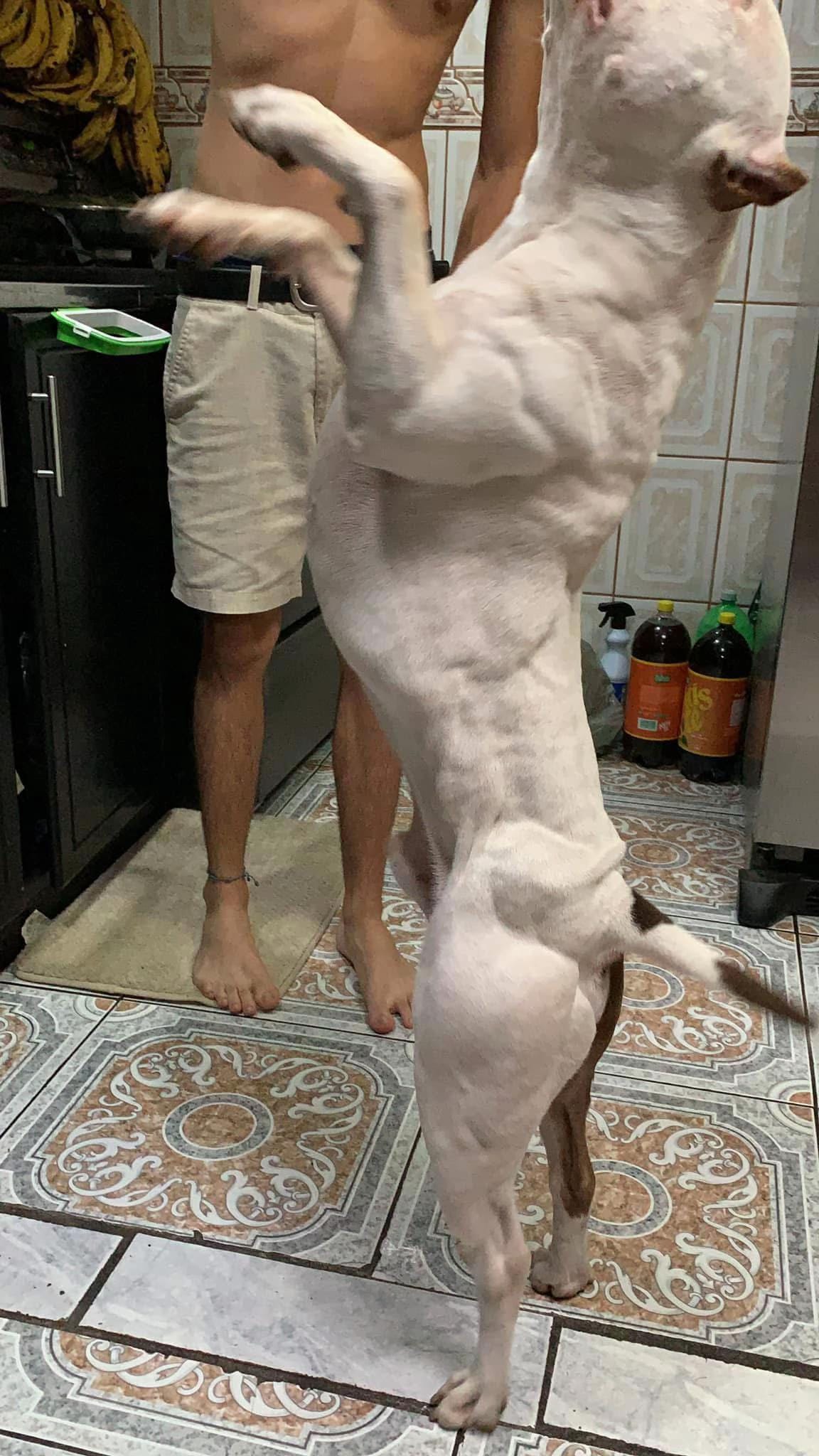 Post 1 by Jai Obando on TikTok (video)