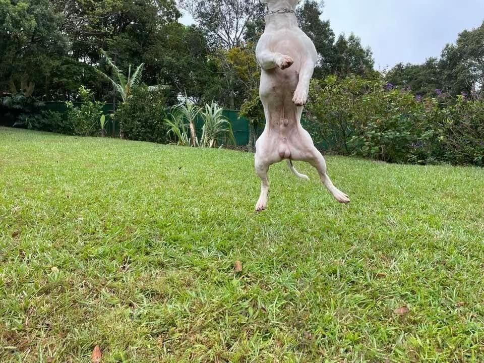 Post 6 by Jai Obando on TikTok (video)