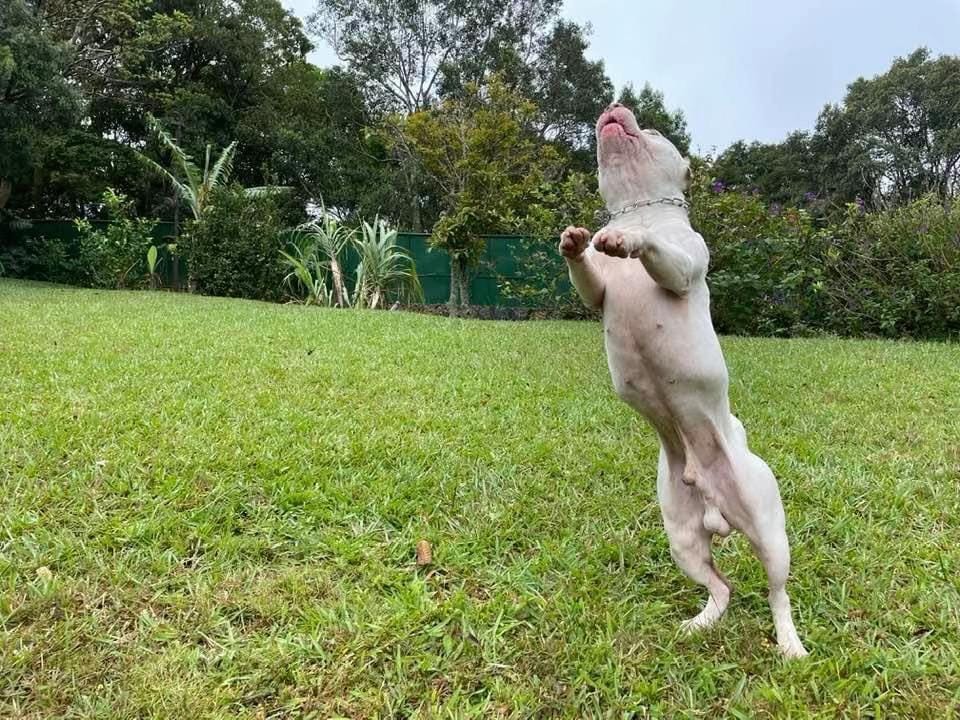Post 5 by Jai Obando on TikTok (video)
