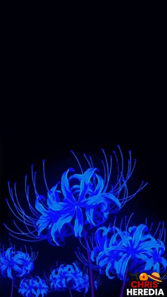 Post 9 by Soy ChrisHeredia on TikTok (video)