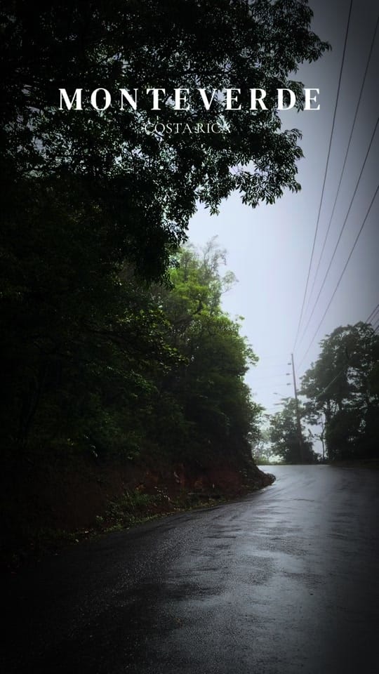 Post 6 by Experience Monteverde CR on TikTok (video)