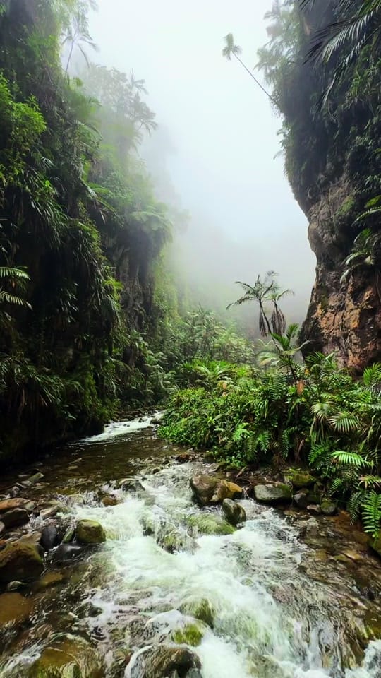 Post 4 by Experience Monteverde CR on TikTok (video)