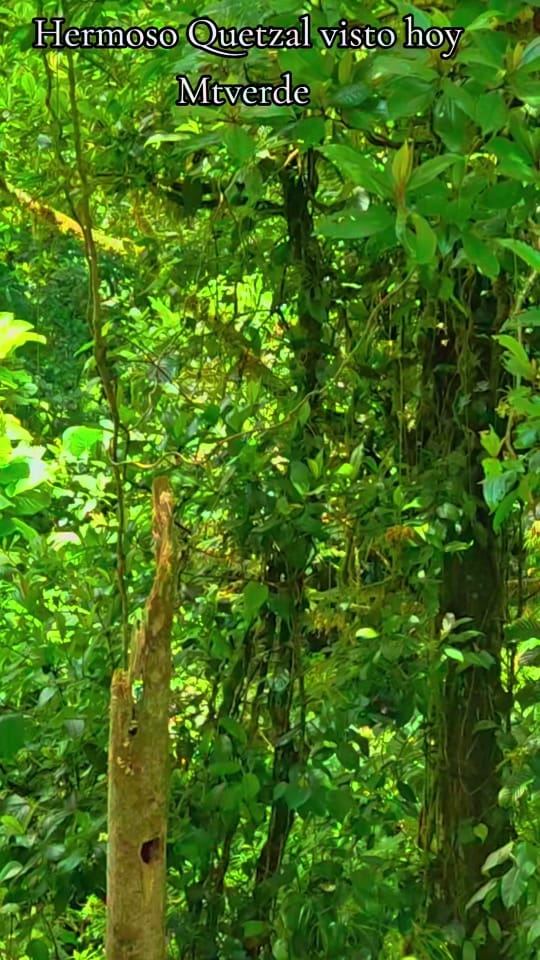 Post 8 by cr_azultravel on TikTok (video)