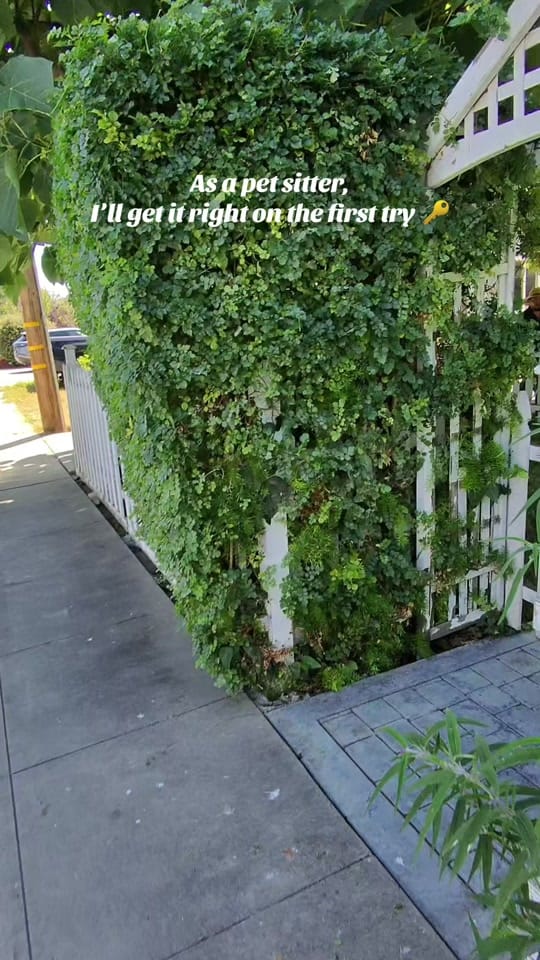 Post 2 by brassyspawarmy on TikTok (video)