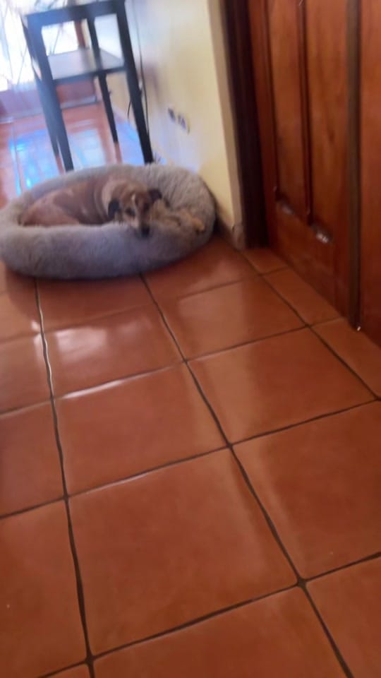 Post 2 by Fundación on TikTok (video)