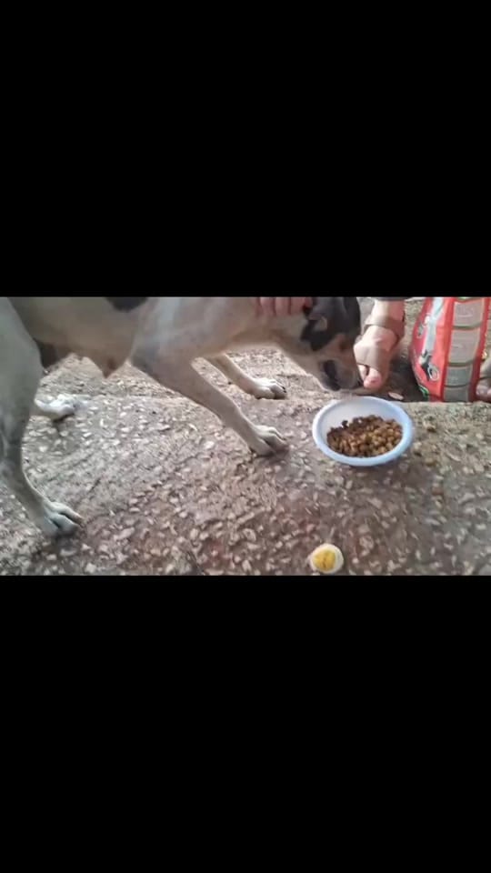 Post 9 by Fundación on TikTok (video)