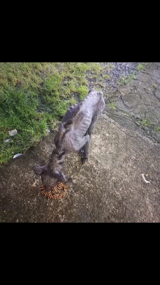 Post 4 by Fundación on TikTok (video)