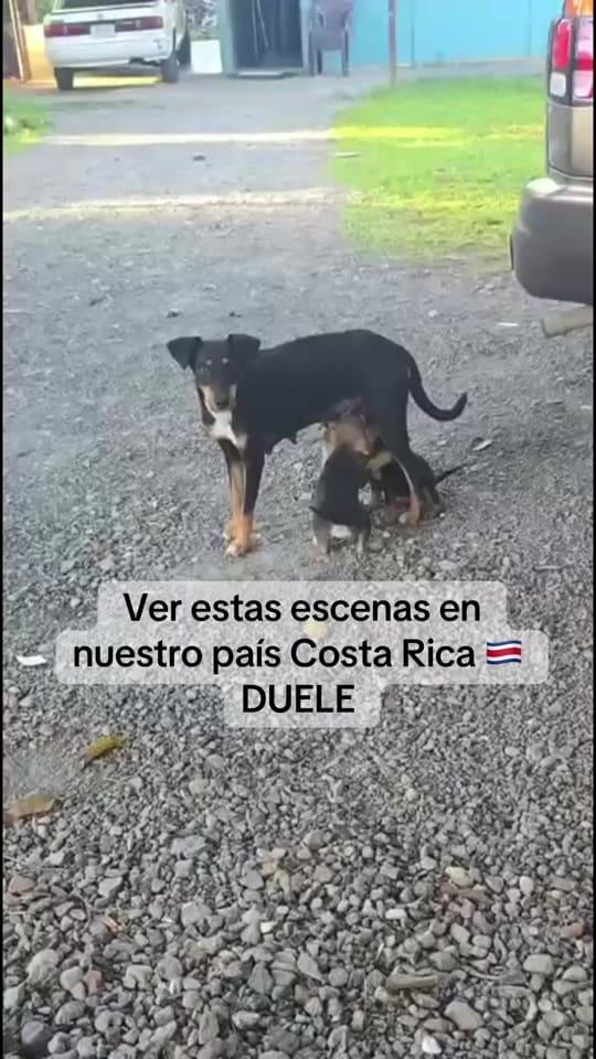 Post 6 by Fundación on TikTok (video)