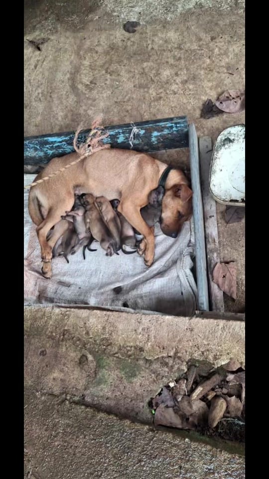 Post 3 by Fundación on TikTok (video)