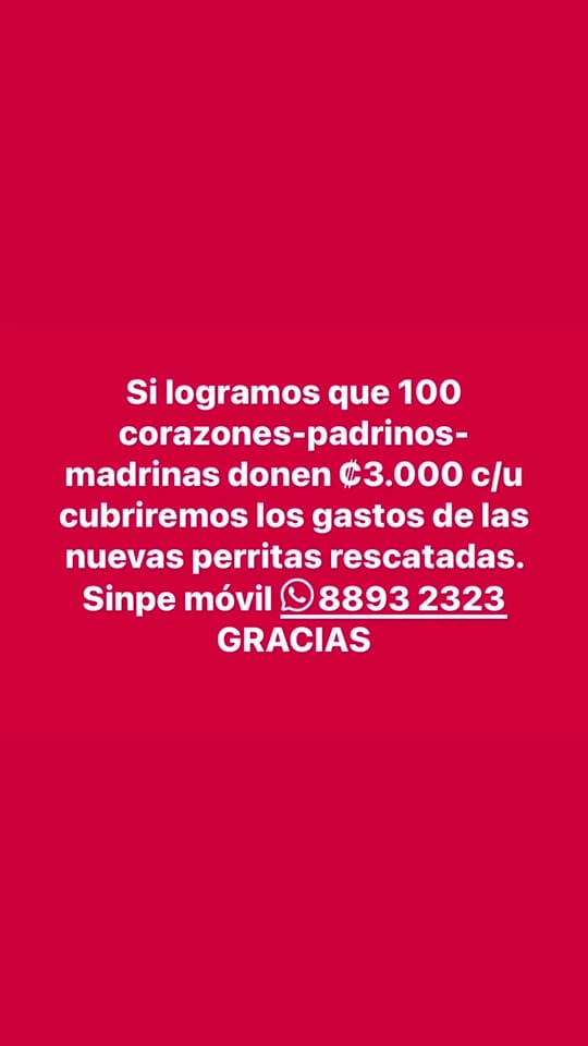 Post 5 by Fundación on TikTok (video)