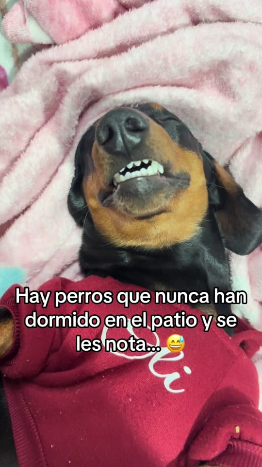 Post 1 by Mariana Sánchez on TikTok (video)