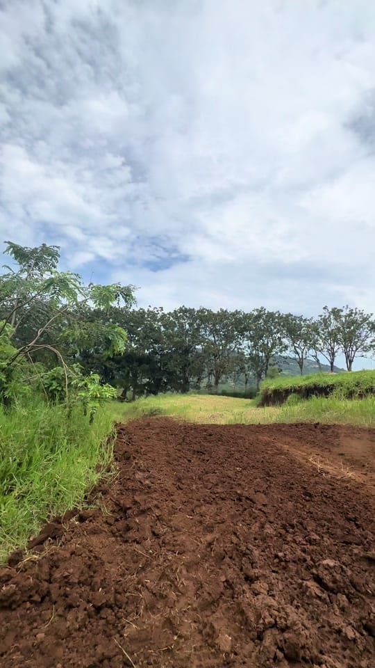 Post 1 by Fabricio Chacon on TikTok (video)