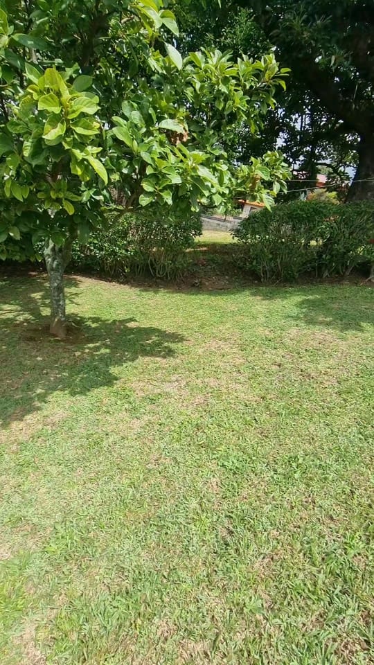 Post 4 by carlosgarita86 on TikTok (video)
