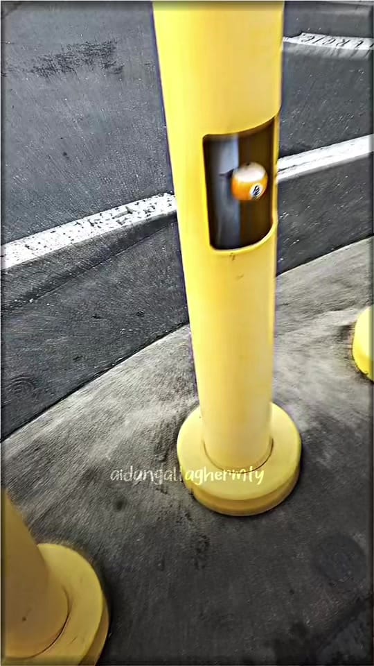 Post 7 by A n d y 💐 on TikTok (video)