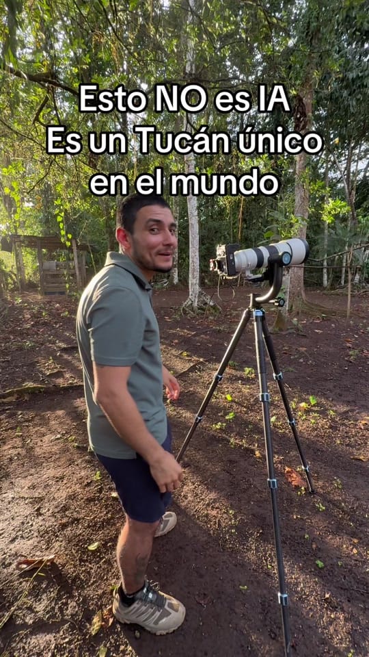 Post 10 by José Pablo Pacheco on TikTok (video)
