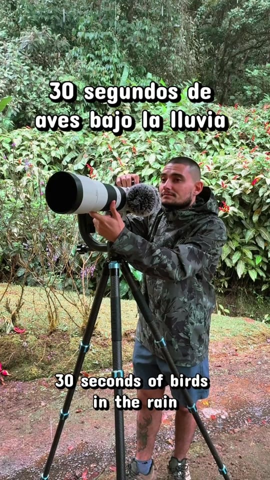 Post 1 by José Pablo Pacheco on TikTok (video)