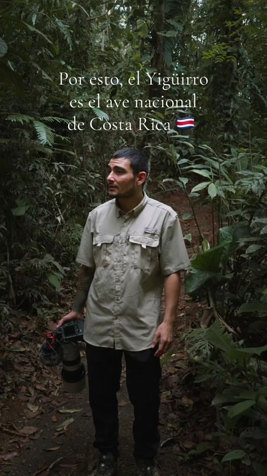 Post 8 by José Pablo Pacheco on TikTok (video)