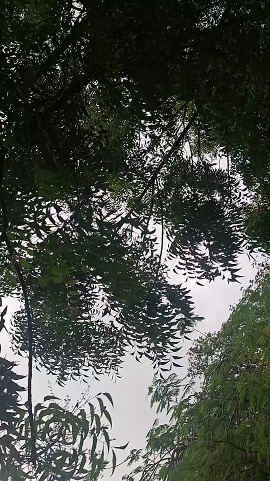 Post 6 by Danzas New Generation on TikTok (video)