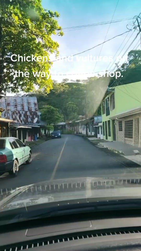 Post 8 by Bellima on TikTok (video)