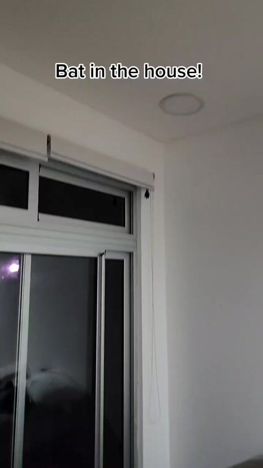 Post 5 by Bellima on TikTok (video)