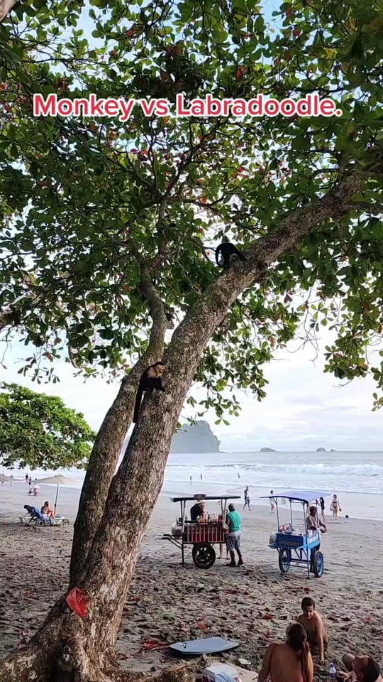 Post 7 by Bellima on TikTok (video)