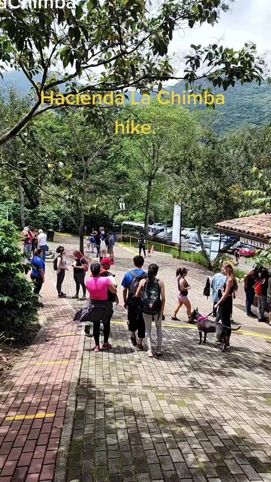 Post 2 by Bellima on TikTok (video)