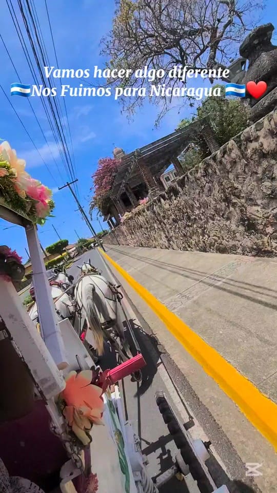 Post 3 by 𝓑𝓮𝓵𝓵𝓪 ღ on TikTok (video)