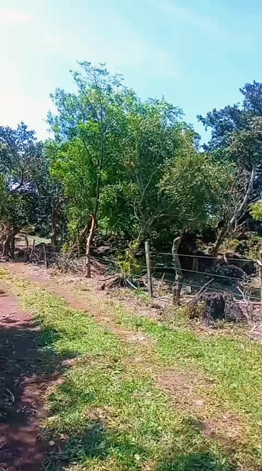 Post 6 by JUANPAULALEXANDERCOSTARICAVSCA on TikTok (video)