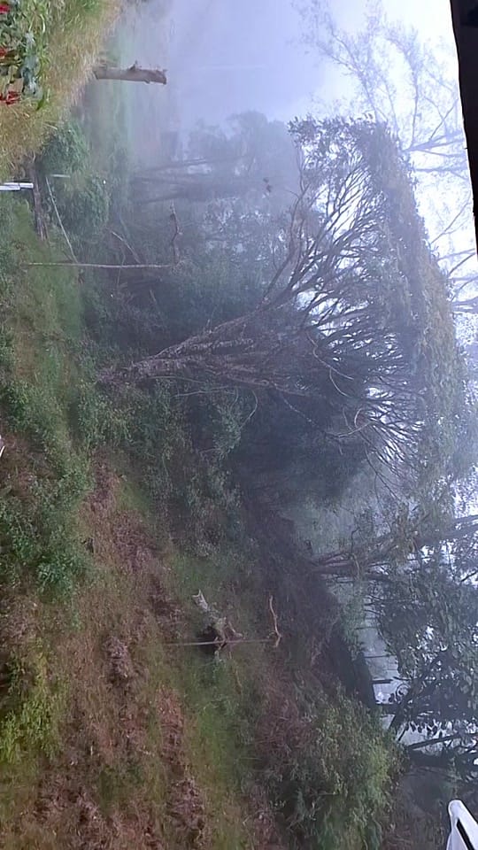 Post 5 by Quetzal Tours CR🇨🇷 on TikTok (video)
