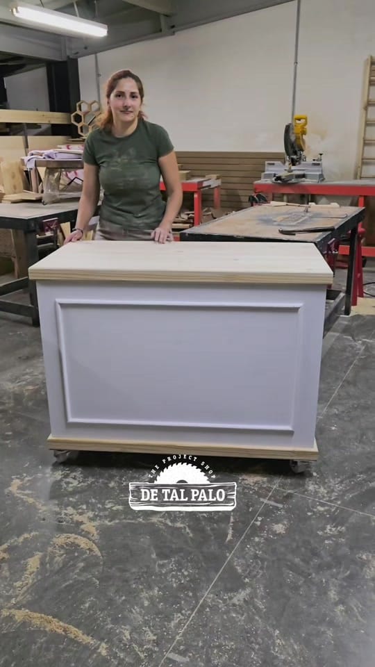 Post 8 by De Tal Palo 🛠️ on TikTok (video)