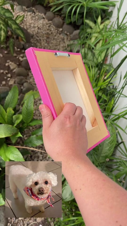 Post 5 by Magic Gallery CR on TikTok (video)