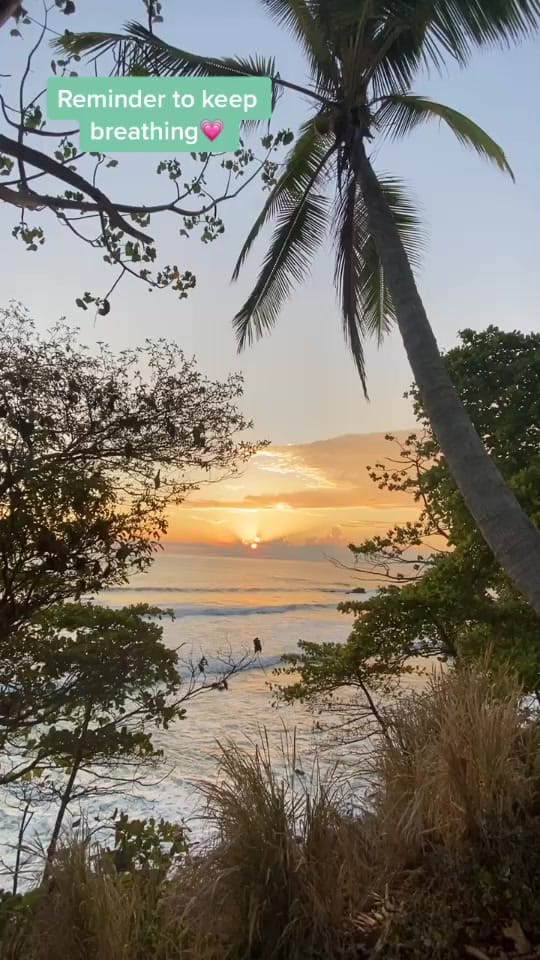 Post 10 by alyshilts on TikTok (video)