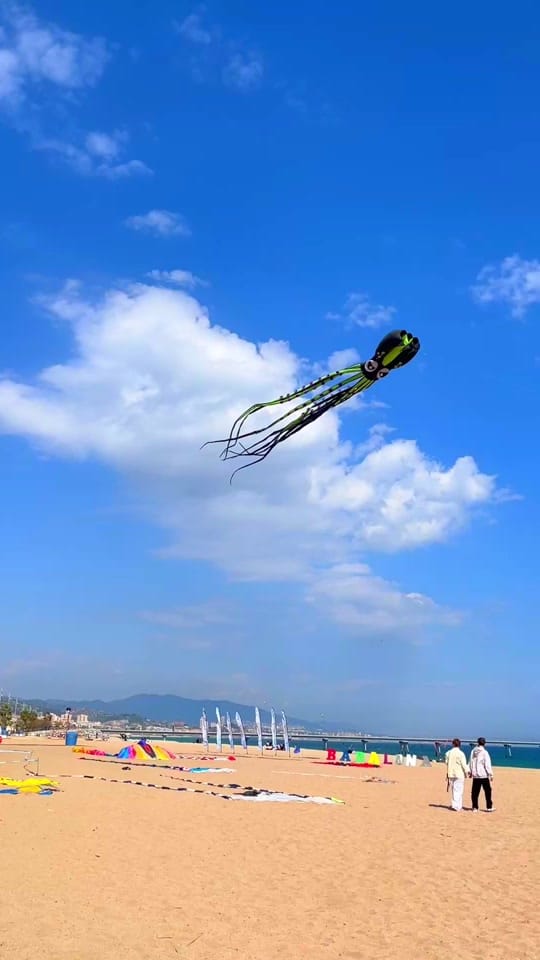 Post 1 by Gabriel E T Heredia on TikTok (video)