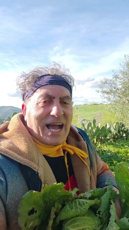 Post 8 by zenzero&limone68 sicilia on TikTok (video)