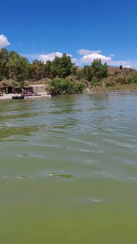 Post 3 by zenzero&limone68 sicilia on TikTok (video)