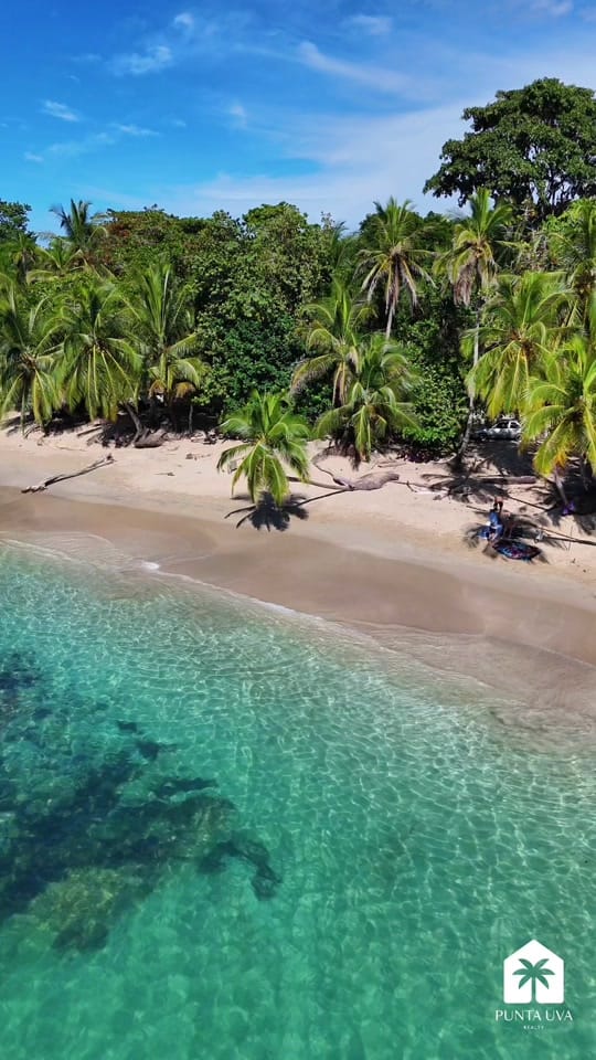 Post 4 by Punta Uva Realty on TikTok (video)