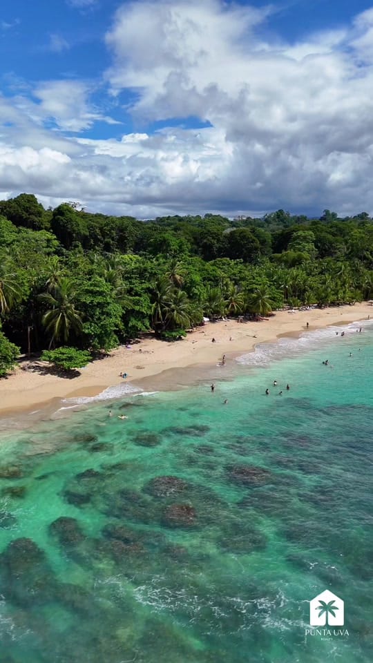 Post 9 by Punta Uva Realty on TikTok (video)