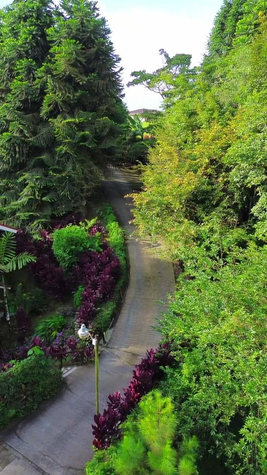 Post 3 by Magic Villages Costa Rica on TikTok (video)